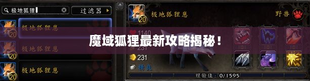 魔域狐狸最新攻略揭秘！
