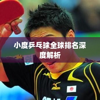 小度乒乓球全球排名深度解析