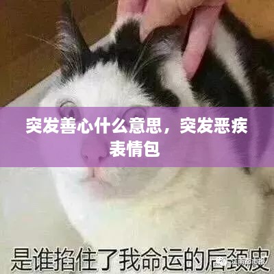 突发善心什么意思，突发恶疾表情包 