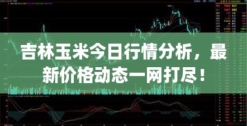 吉林玉米今日行情分析，最新价格动态一网打尽！