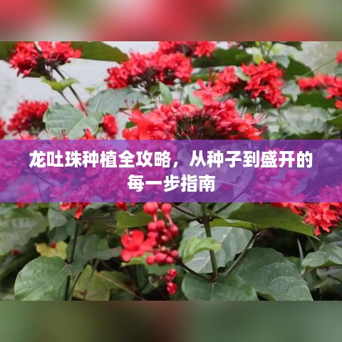 zhengjinweizuo 第2页