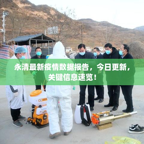 永清最新疫情数据报告，今日更新，关键信息速览！