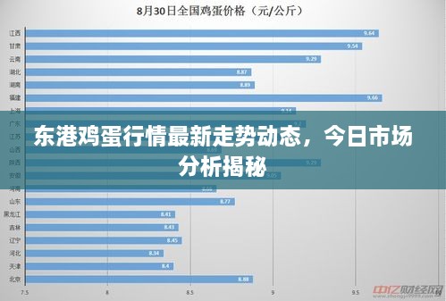 东港鸡蛋行情最新走势动态，今日市场分析揭秘