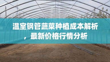 飞扬拨扈 第2页
