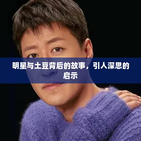 明星与土豆背后的故事，引人深思的启示