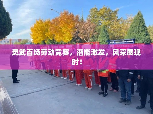 灵武百场劳动竞赛，潜能激发，风采展现时！