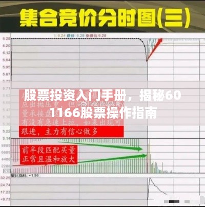 股票投资入门手册，揭秘601166股票操作指南