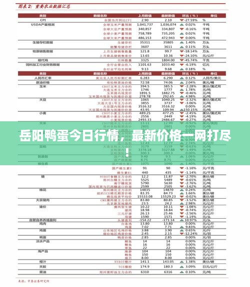 岳阳鸭蛋今日行情，最新价格一网打尽！