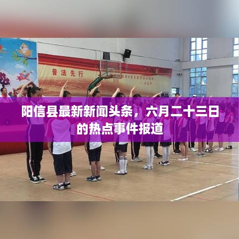 阳信县最新新闻头条，六月二十三日的热点事件报道