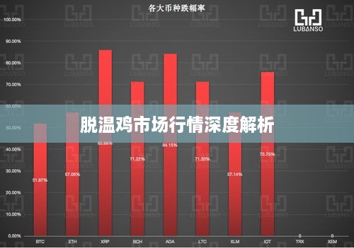 脱温鸡市场行情深度解析