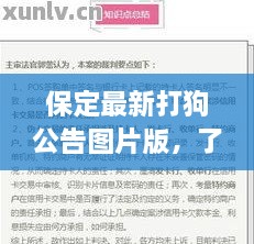 保定最新打狗公告图片版，了解宠物管理新动向