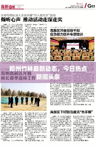 郑州竹林最新动态，今日热点新闻头条