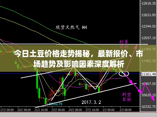 今日土豆价格走势揭秘，最新报价、市场趋势及影响因素深度解析