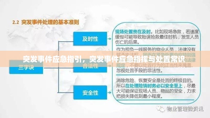 突发事件应急指引，突发事件应急指挥与处置常识 