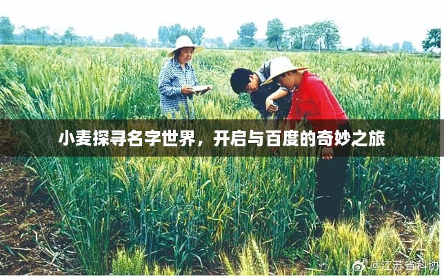 小麦探寻名字世界，开启与百度的奇妙之旅