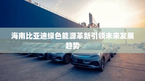 海南比亚迪绿色能源革新引领未来发展趋势