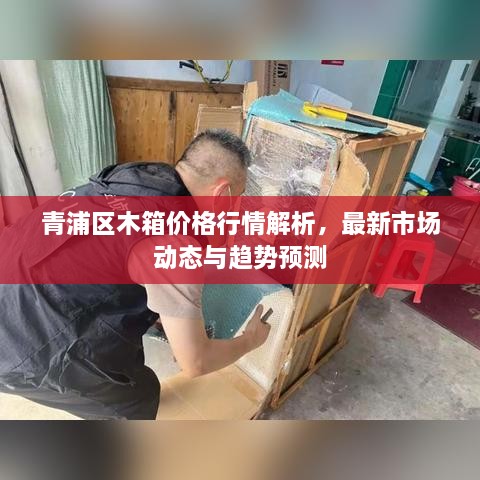 青浦区木箱价格行情解析，最新市场动态与趋势预测