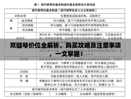 双键琴价位全解析，购买攻略及注意事项，一文掌握！