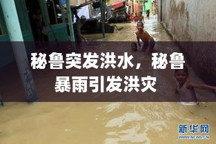 秘鲁突发洪水，秘鲁暴雨引发洪灾 