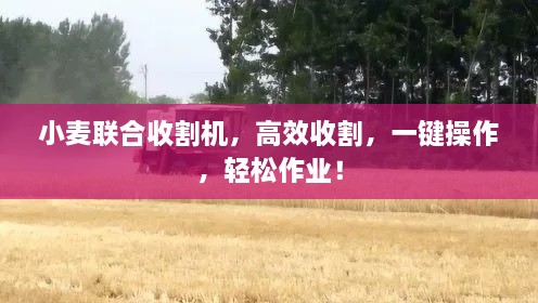 小麦联合收割机，高效收割，一键操作，轻松作业！