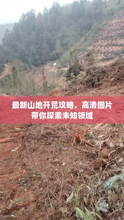 最新山地开荒攻略，高清图片带你探索未知领域