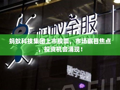 蚂蚁科技集团上市股票，市场瞩目焦点，投资机会涌现！