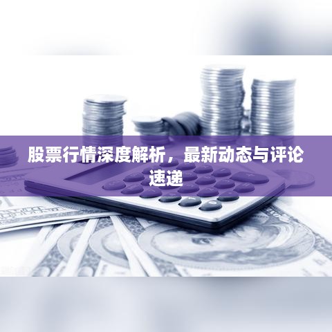 股票行情深度解析，最新动态与评论速递
