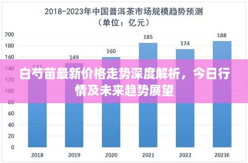 沉厚寡言