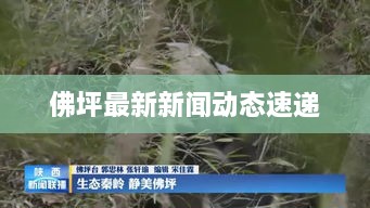 佛坪最新新闻动态速递