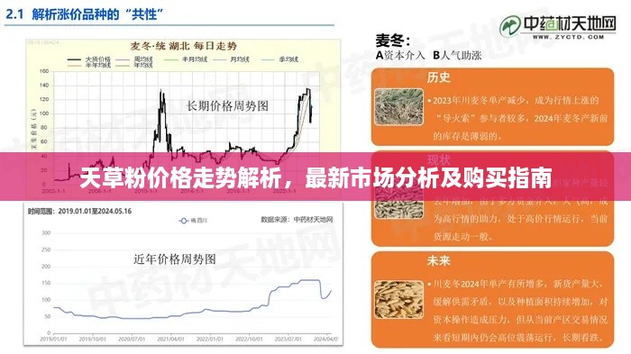 天草粉价格走势解析，最新市场分析及购买指南