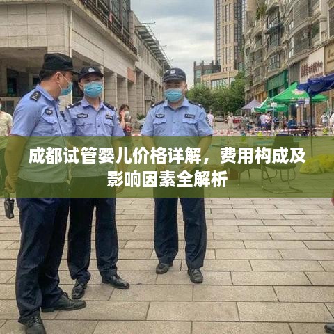 成都试管婴儿价格详解，费用构成及影响因素全解析
