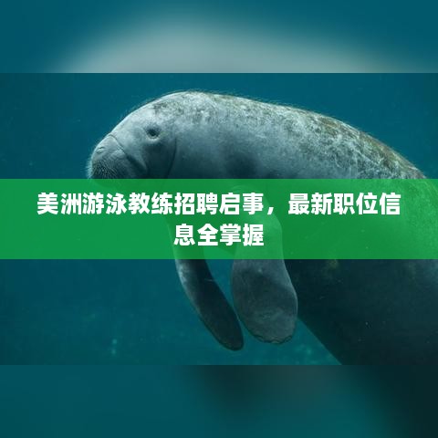 改弦易张