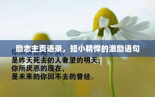 如花似玉