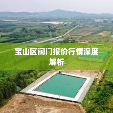 宝山区阀门报价行情深度解析