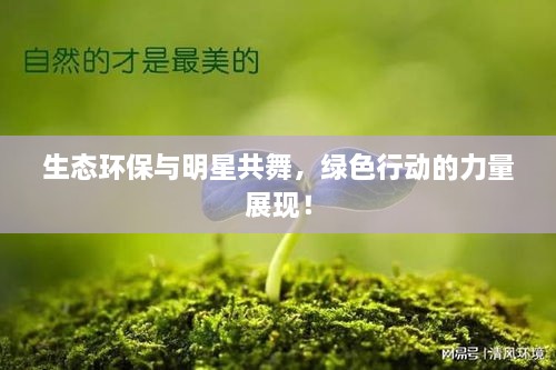 生态环保与明星共舞，绿色行动的力量展现！