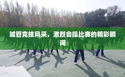 城管竞技风采，激烈会操比赛的精彩瞬间