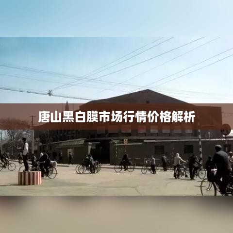 唐山黑白膜市场行情价格解析