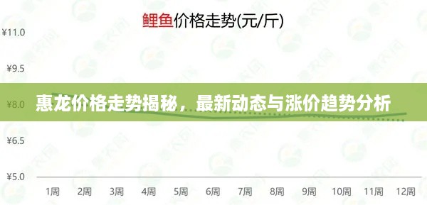惠龙价格走势揭秘，最新动态与涨价趋势分析