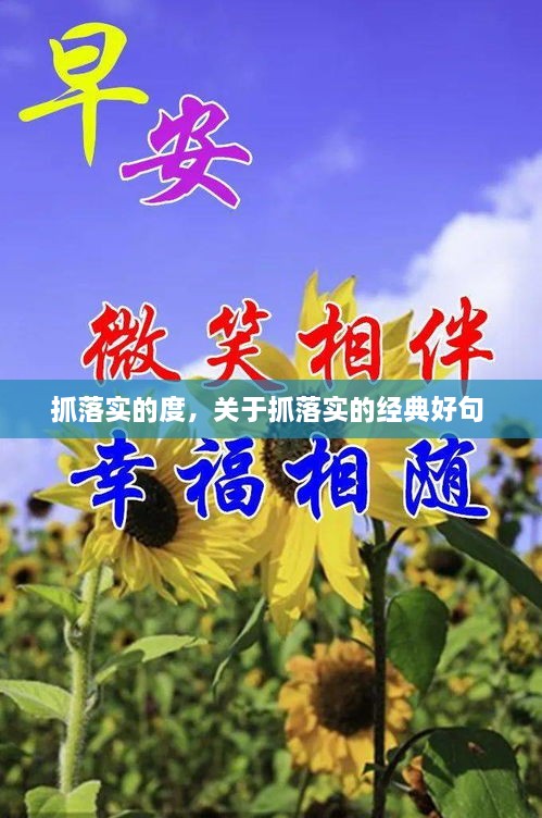 抓落实的度，关于抓落实的经典好句 