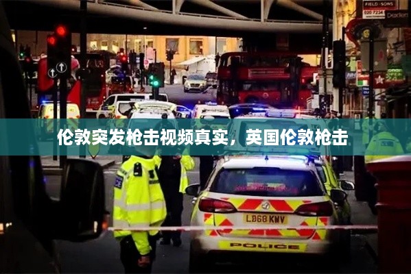 还淳反朴