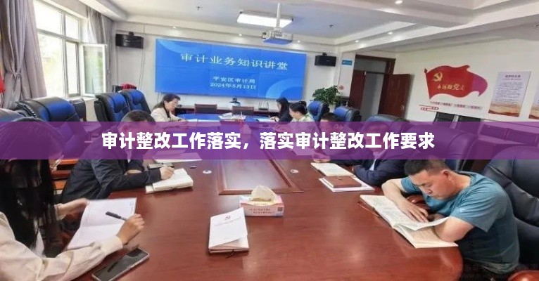审计整改工作落实，落实审计整改工作要求 