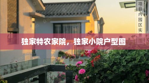 独家特农家院，独家小院户型图 