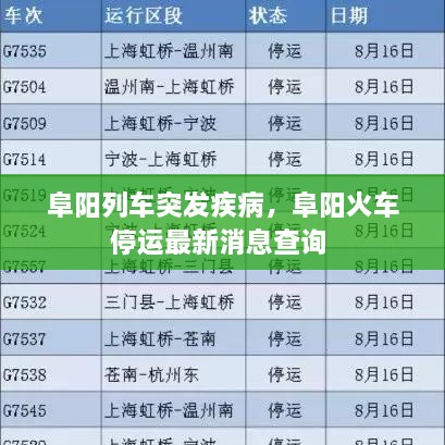 阜阳列车突发疾病，阜阳火车停运最新消息查询 