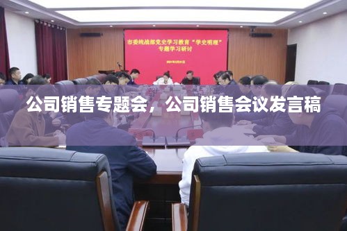 公司销售专题会，公司销售会议发言稿 