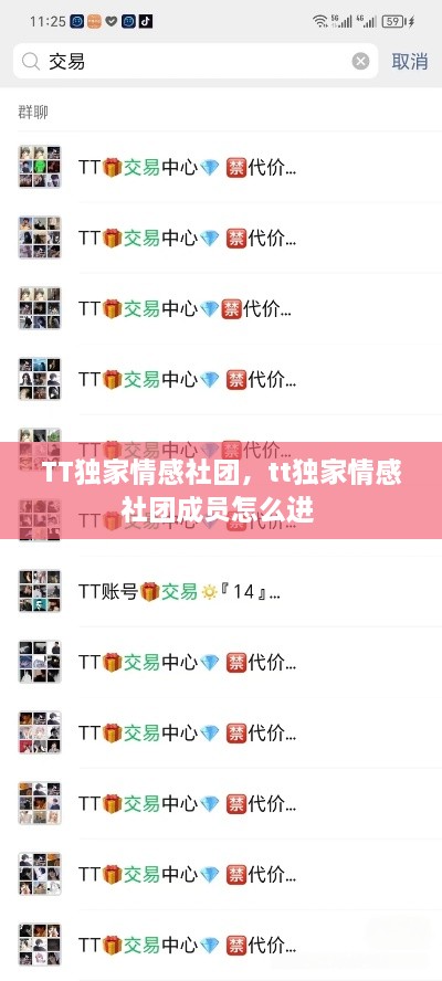 TT独家情感社团，tt独家情感社团成员怎么进 