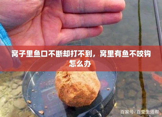 窝子里鱼口不断却打不到，窝里有鱼不咬钩怎么办 