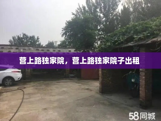 营上路独家院，营上路独家院子出租 