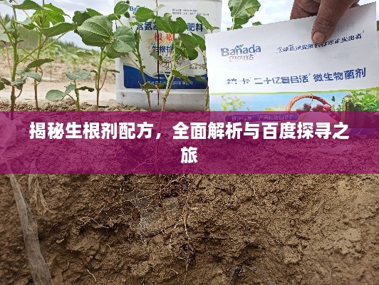 揭秘生根剂配方，全面解析与百度探寻之旅