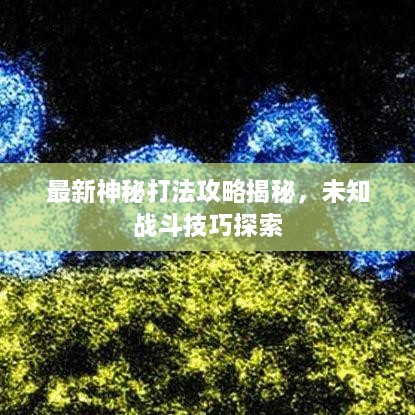 关于我们 第13页