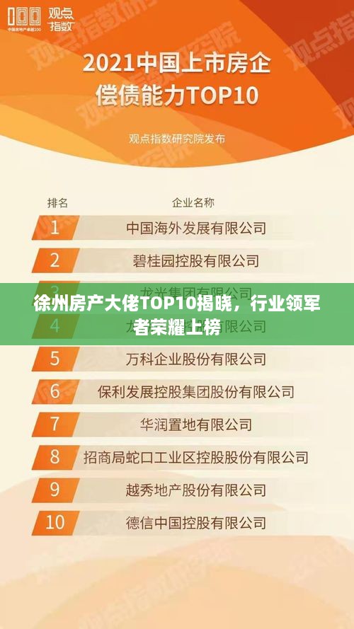 徐州房产大佬TOP10揭晓，行业领军者荣耀上榜